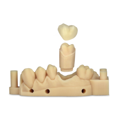 E-Model, Light (D4K Pro Dental)